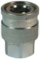 Dixon 1/2in Quick Coupling EA Series 4EAF4 for power wash and water blast hoses